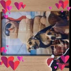 Nancy Pridgen - Facebook