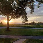 Nancy Prosser - @prosser5092 - Instagram