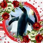 Nancy Prosser - @nancy.prosser.357 - Instagram