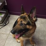 Nancy Proulx - @boom24_3 - Instagram