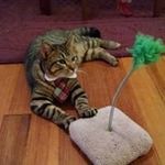 Nancy Puckett - @nnewtonpuckett - Instagram