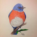 Nancy Puckett - @npuckett_ - Instagram