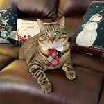 Nancy Puckett - @nanewtonpuckett - Instagram