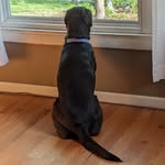 Nancy puckett - @puckett2618 - Instagram