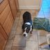 Nancy Puckett - Facebook