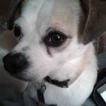 Nancy Puckett - @nmpuckett54 - Instagram