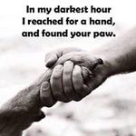 Nancy Puckett - @puckett5574 - Instagram