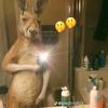 Nancy Puello - @nancy.puello1 - TikTok