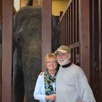 nancy pugh - @nanpugh - Instagram