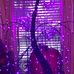 Nancy Pugh - Facebook