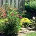 Nancy Pugh - Facebook