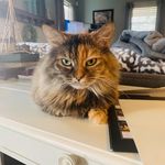 Nancy Pugh Hatsell - @nancyhatsell - Instagram