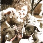 Nancy Pugh Niche - @nancypughniche - Instagram