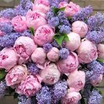 Nancy Wizda Pugh - @nancypugh38 - Instagram