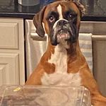 Nancy Pugliese - @pugger17 - Instagram