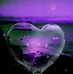 Nancy Pugliese Cunningham - Facebook