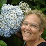 Nancy Pugliese Ferreira - @nancynpferreira - Instagram