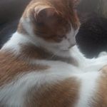 Nancy Pugliese Milbury - @gusgusmom - Instagram