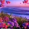 nancypugliesecunn - @nancypugliesecunn - TikTok