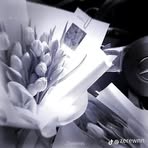 Nancy Pulla - Facebook