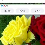 Nancy Pullen - @nancg27 - Instagram