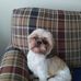 Nancy Pulliam - Facebook