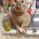 Nancy Pullman - @nancypullman732k3o - Instagram