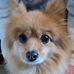 Nancy Purchase - Facebook