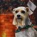 Nancy Pursell - Facebook