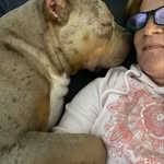 TYSON🐾 - @nancypursley9 - Instagram