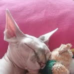 Nancy Puskas - Facebook