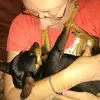 nancyputz - @nancyputz - TikTok