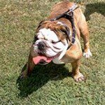 nancy louise pyle smiejek - @crazynancy3 - Instagram