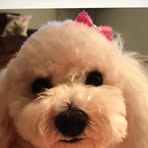 Nancy Qualls - Facebook