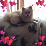 Nancy Quam - @nancyquam - Instagram