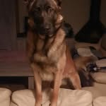 Nancy Quanten - @nancyquanten - Instagram