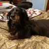 Danny Quattlebaum - @dannyquattlebaum - TikTok