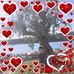 Nancy Quattrocchi - Facebook