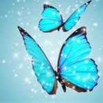 Nancy Quesenberry - @nancymettert - Instagram