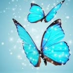 Nancy Quesenberry - Facebook