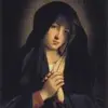 Nancy Vizoso Quigley - @nancyquigley - TikTok