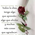 Nancy Quijano - @quijano974 - Instagram