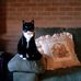 Nancy Quillen - Facebook