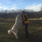 Nancy Quillen - @nancy_quillen40 - Instagram