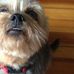 Nancy Quilty - Facebook