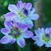 Nancy Quimby - Facebook