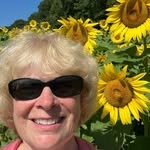 Nancy Quimby Haseltine - @nancyquimbyhaseltine - Instagram