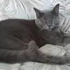 nancyquimby455 - @nancyquimby455 - TikTok