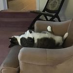 Nancy Quinlan - @portsofcall2003 - Instagram