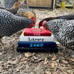 Nancy Quire - @thelibrarycoop - Instagram